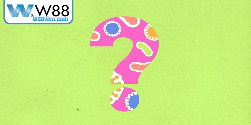 Giải đáp các thắc mắc phổ biến xoay quanh dàn đề 15 số chuẩn W88
